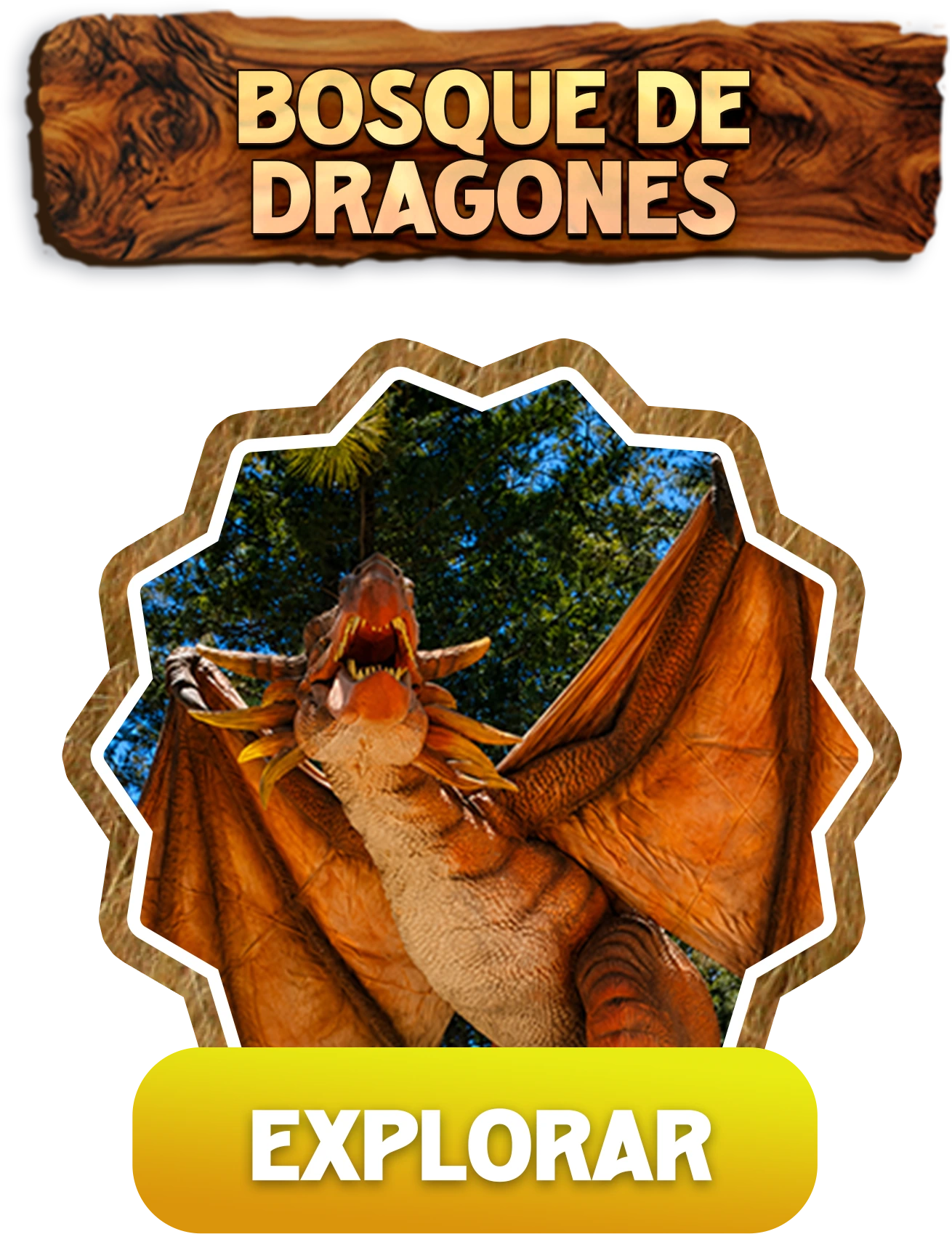 Bosque de Dragones